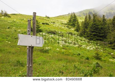 Forest Sign In The Form Of An Arrow