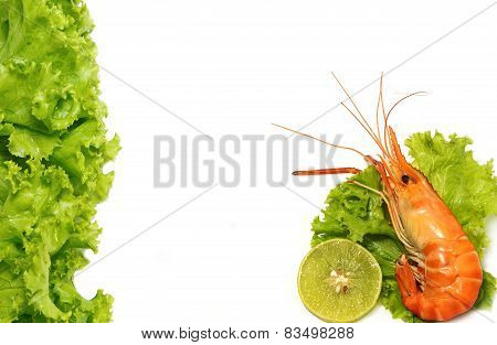 Grilled Shrimp With Lemon And Fresh Lettuce, Food Background