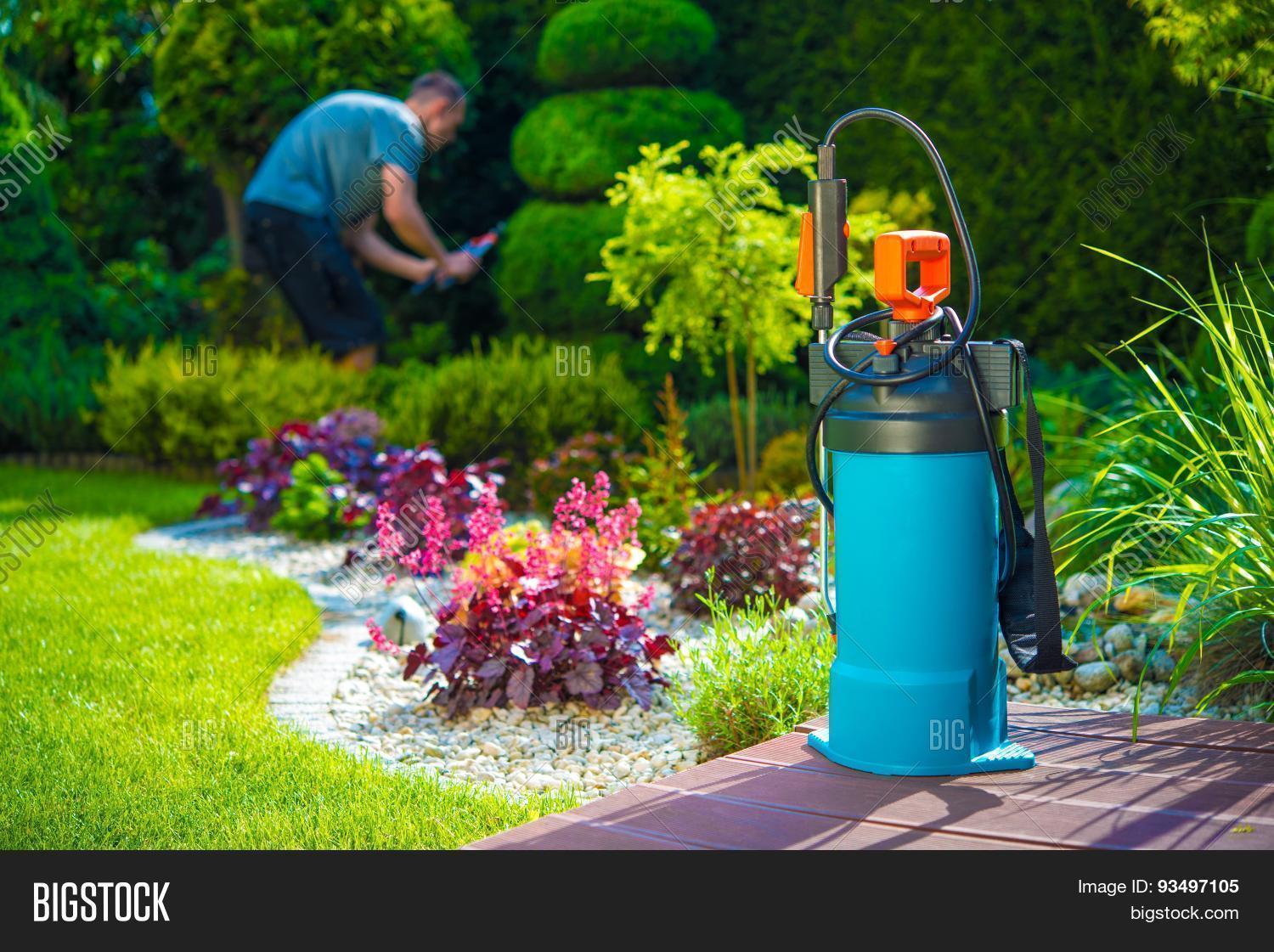 Pest Control Spraying Image & Photo (Free Trial) Bigstock