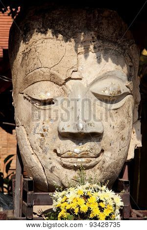 Buddha Statue Head