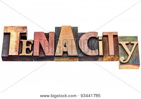 tenacity word abstract - isolated text in mixed vintage letterpress wood type printing blocks