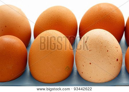 Fresh eggs close up on a white background
