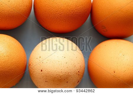 Fresh eggs close up on a white background
