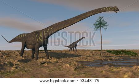 mamenchisaurus on shore 