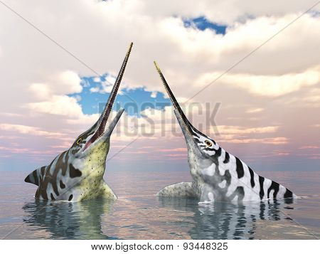 Ichthyosaur Eurhinosaurus