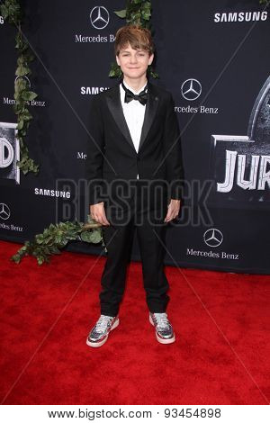 LOS ANGELES - JUN 9:  Ty Simpkins at the 