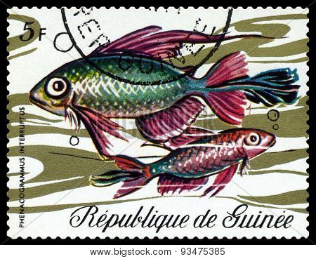 Vintage  Postage Stamp. Fish Phenacogrammus Interruptus.