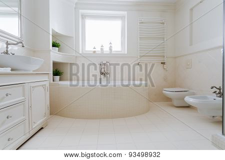 Elegant Spacious Bathroom
