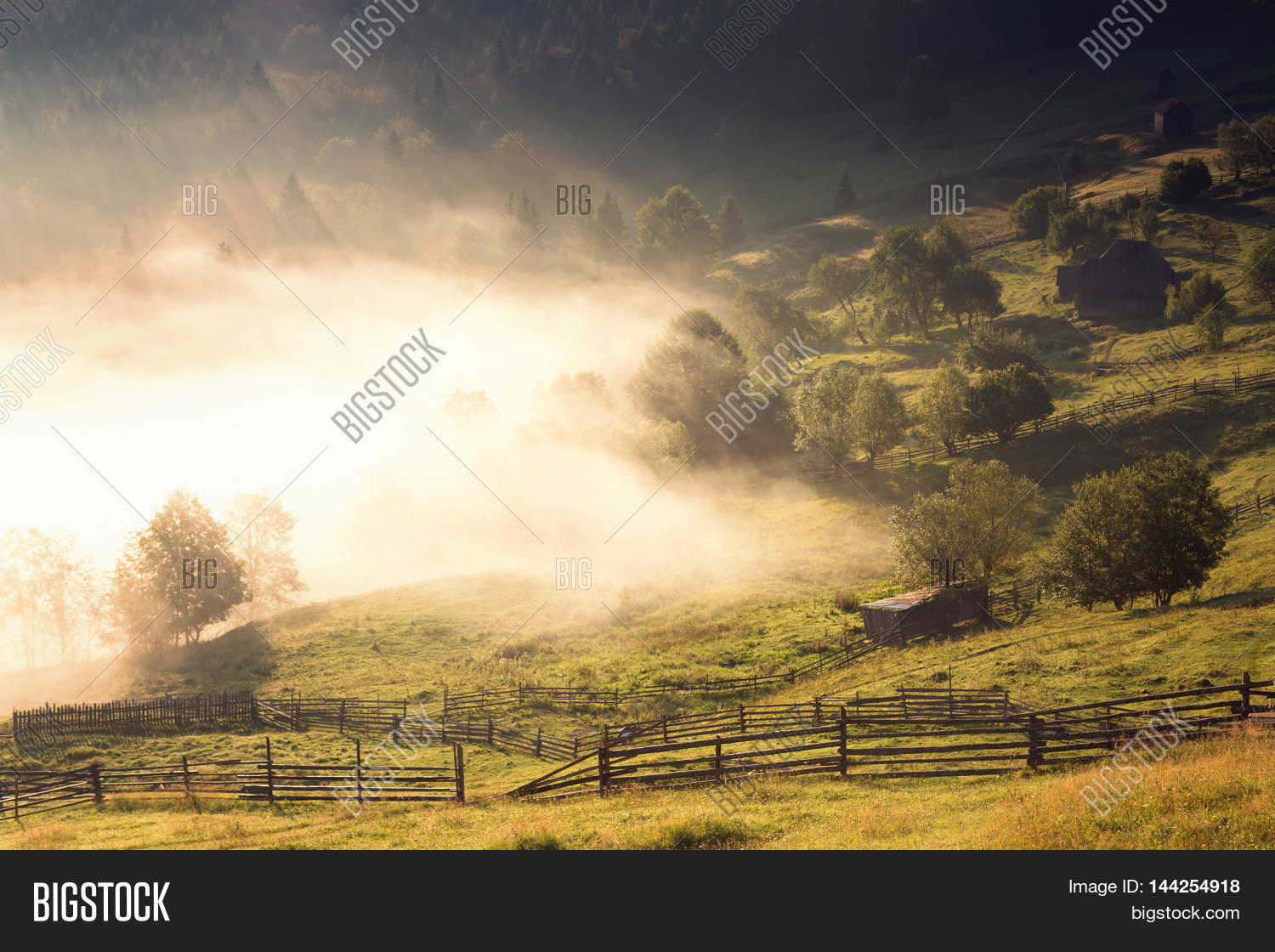 Image Preview