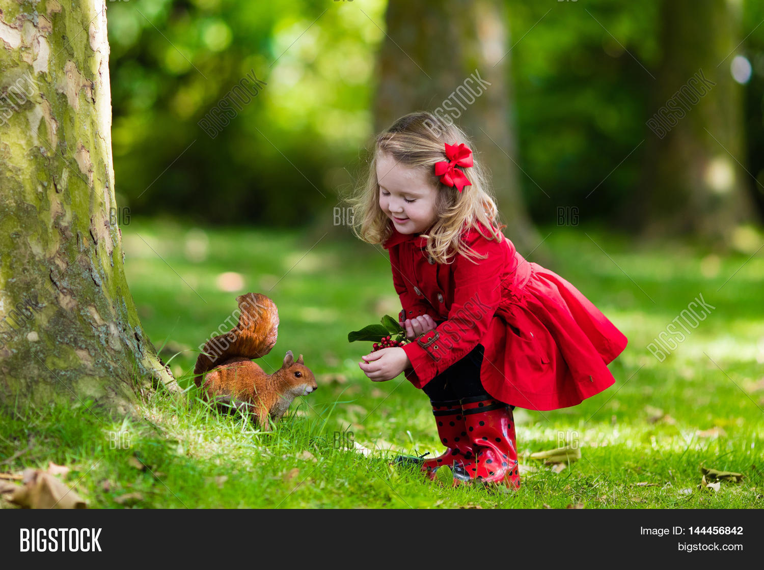 Girl Feeding Squirrel Image & Photo (Free Trial) | Bigstock