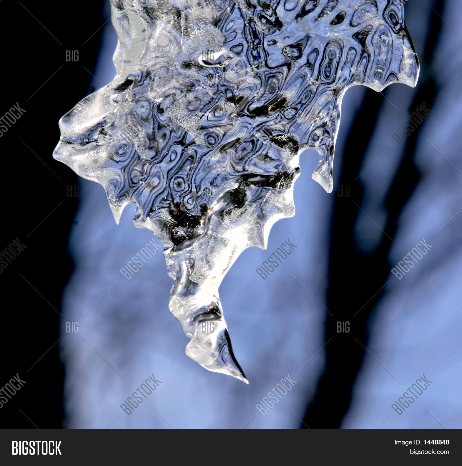Image Preview