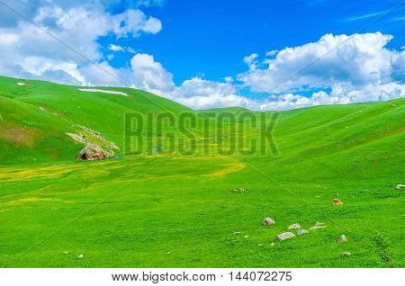 The bright green wet meadow with numerous tiny streams in the highlands of Gegharkunik Province Armenia.