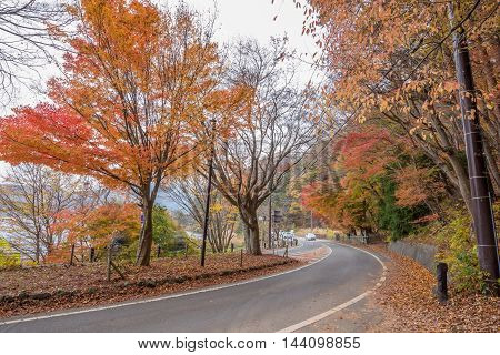 Fujikawaguchiko Yamanashi Japan - November 22 2015 : Unidentified tourist visiting the Koyo tunnel at autumn in Kawaguchiko Japan.