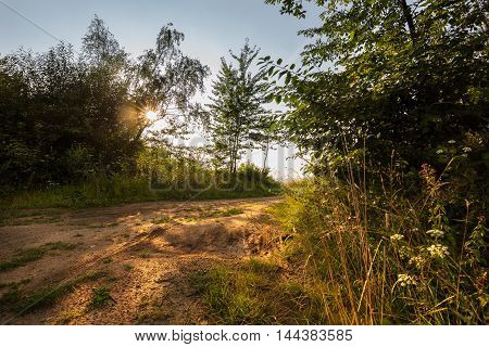 Nice view of the dirt road lit by the setting sun. Moravian landscape Maly Chlum.