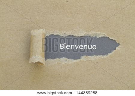 French Word Bienvenue (Welcome) written under torn paper.