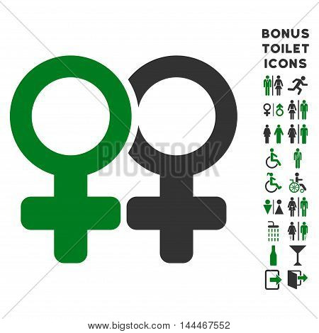 Lesbi Pair icon and bonus man and female toilet symbols. Vector illustration style is flat iconic bicolor symbols, green and gray colors, white background.