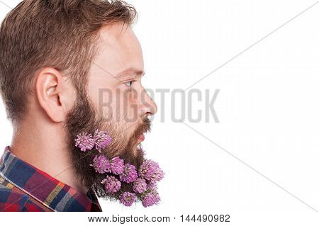 Portrait of handsome man with beard of clover flowers isolated on white