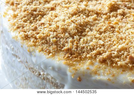 fresh piece of honey cake. texture closeup