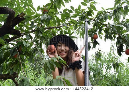 Fruit Picking Girl At Outer Place