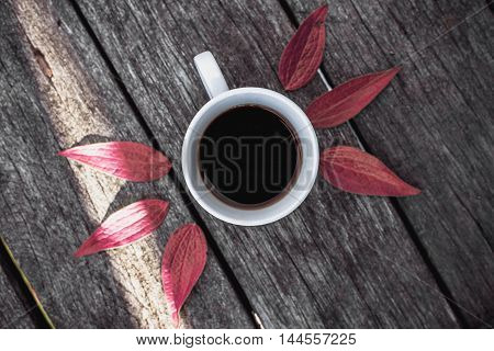 Coffee cup on green leaves background Flat lay.