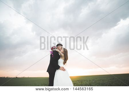 Beautiful wedding couple, love on the sunset. Fielf with flowers.