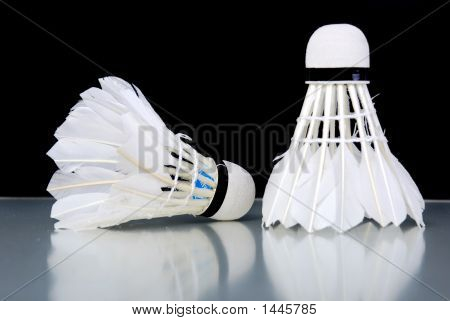 Federball