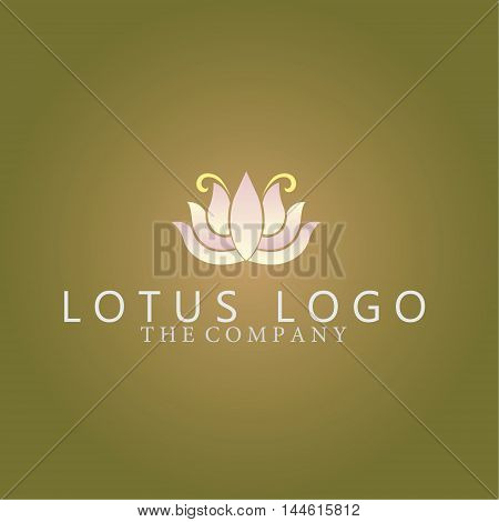 lotus logo  ideas design vector illustration on background