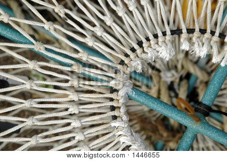 Seafood Net