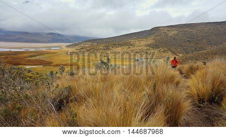 Parque Nacional Cotopaxi, Cotopaxi / Ecuador - September 20 2014: Lonely tourist hiking in the Cotopaxi National Park - Ecuador