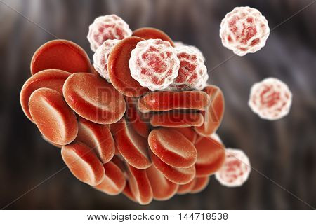 Blood cells: red blood cells erythrocytes and white blood cells leukocytes . 3D illustration
