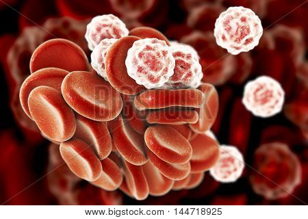 Blood cells: red blood cells erythrocytes and white blood cells leukocytes . 3D illustration