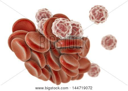 Blood cells: red blood cells erythrocytes and white blood cells leukocytes . 3D illustration