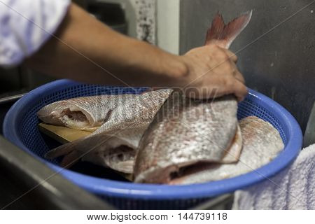 Sushi chef washes fish before filleting for service.