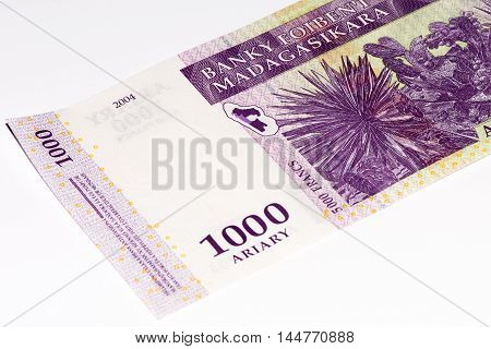 1000 Malagasy ariary bank note of Madagascar. Malagasy ariary is the national currency of Madagascar