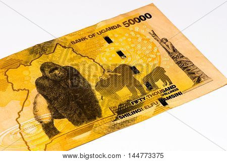 50000 Ugandan shillings bank note. Ugandan shilling is the national currency of Uganda