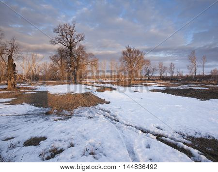 In The Early Spring