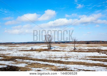 In The Early Spring