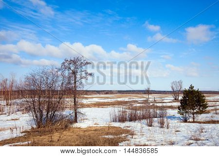 In The Early Spring