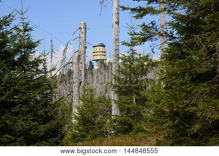 National Park Sumava, Czech Republic - AUGUST 28, 2016 - Polednik viewing tower, Meridian hill, the Bohemian Forest. Forests around the destroyed during the storm Kyrill.