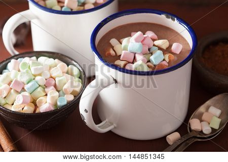 hot chocolate with mini marshmallows cinnamon winter drink