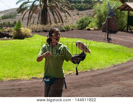 LA LAJITA FUERTEVENTURA SPAIN - SEPTEMBER 11 2015: Bird of Prey Show Oasis Park Fuerteventura Canary Island Spain