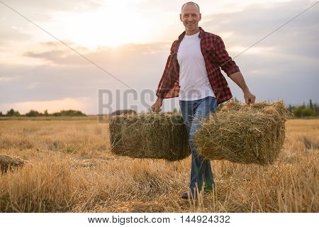 Working Farmer Man With Straw Bales