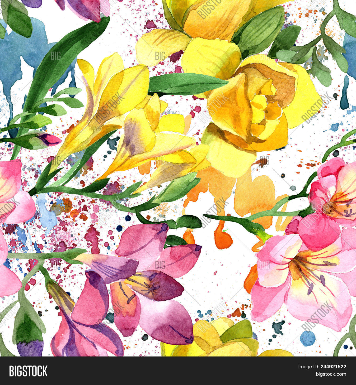 Colorful Freesia Image Photo Free Trial Bigstock