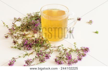 Thymus Pulegioides Tea And Leaves. Tea Is Effective During Diseases Of The Upper Respiratory Tract.m