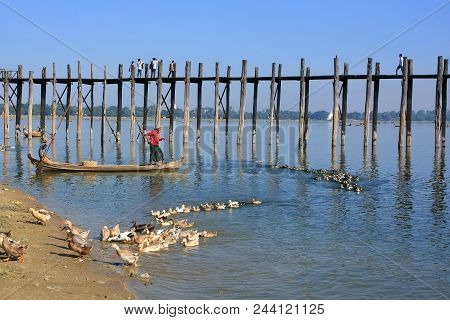 Amarapura, Myanmar - December 31: Unidentified People Fish In A Lake On December 31, 2011 In Amarapu