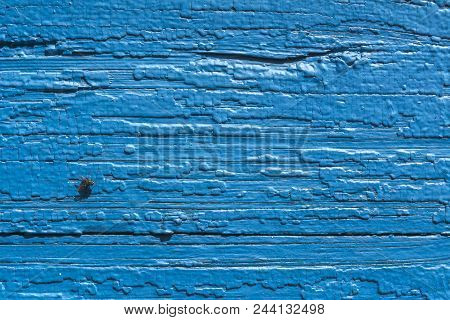 Old Painted Wall Of The House. Old Wooden Fence. Blue Paint. Fly On Board.