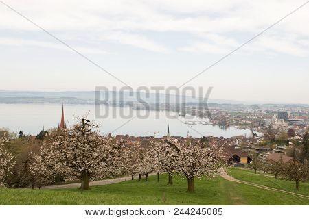 Landscape Photograph Of Small City Zug Near Lake In Morning In Switzerland. Aerial Image Of Zug City