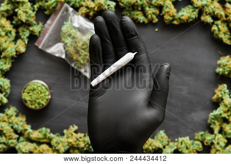 Grinder A Lot Ofx Marijuana, Fresh Buds Of Cannabis Many Weed. Copy Spase Copy-space