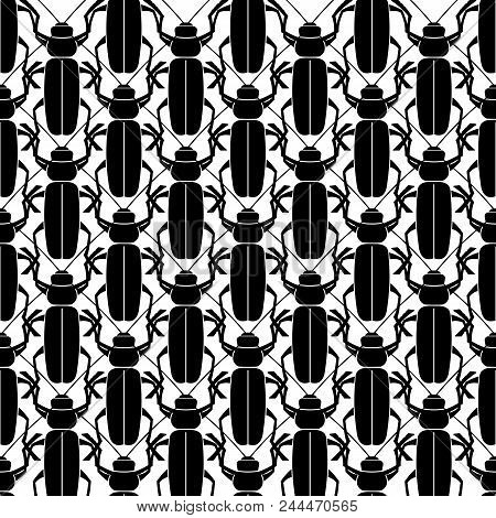 Geometric Texture An Animal Print - A Pattern From Beetle. Insects Are Black On A White Background.