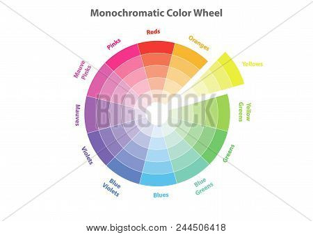 Monochromatic Color Wheel, Color Scheme Theory, Yellows Color In Evidence, Vector Isolated Or White 